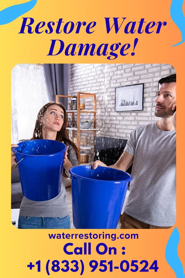 water restoration Modern Restoration Masters Rainbow Lakes Estates