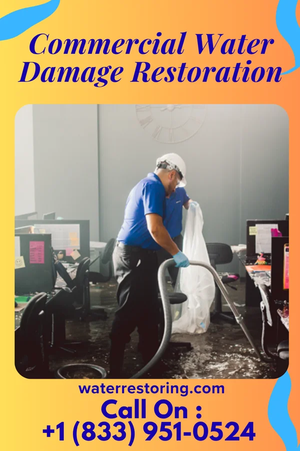 Commercial Water Damage Restoration in Rainbow Lakes Estates, FL