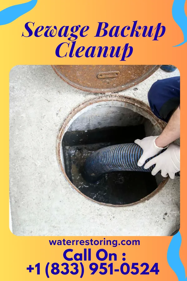 Sewage Backup Cleanup in Rainbow Lakes Estates, FL